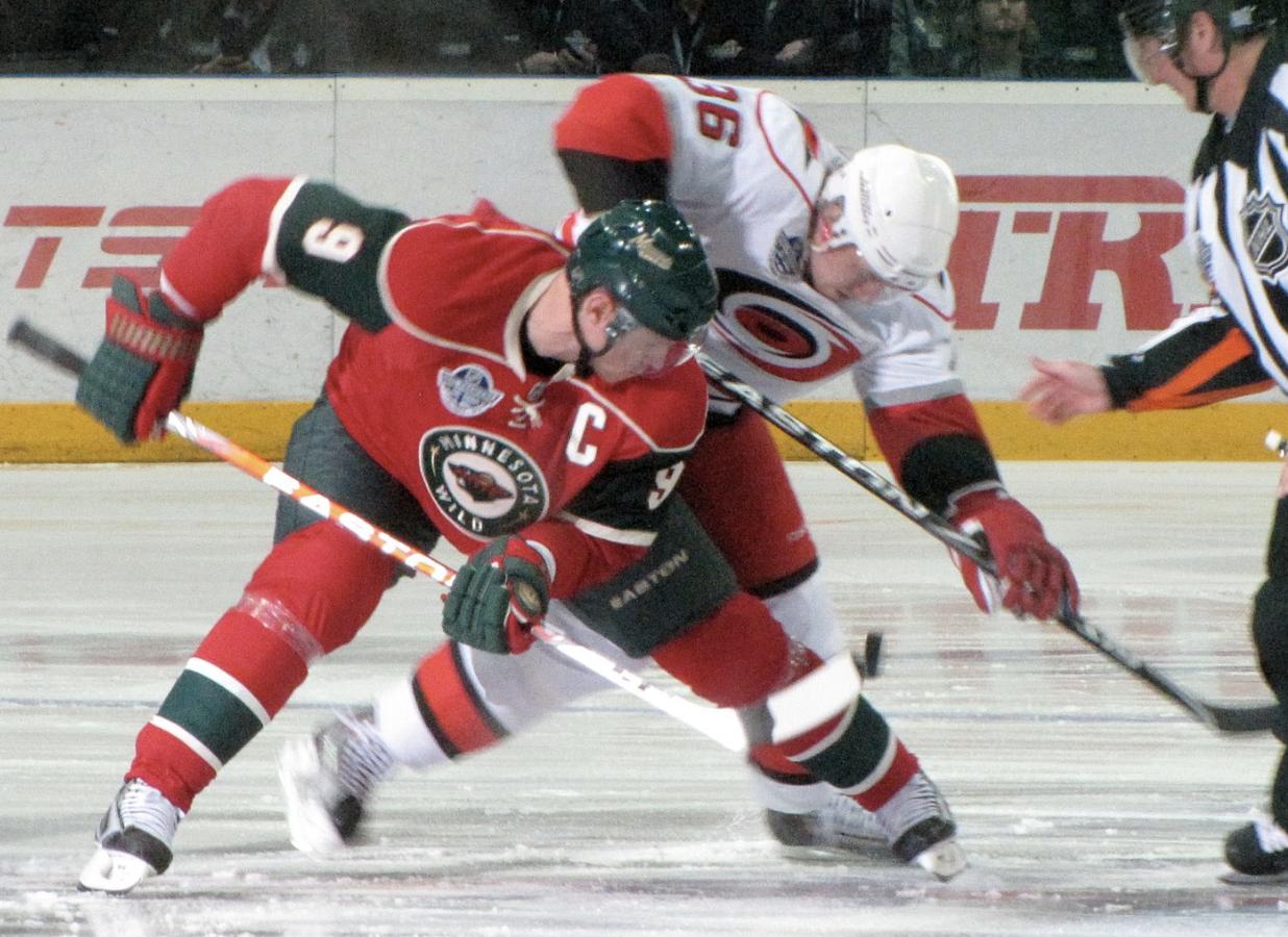 Minnesota Wild